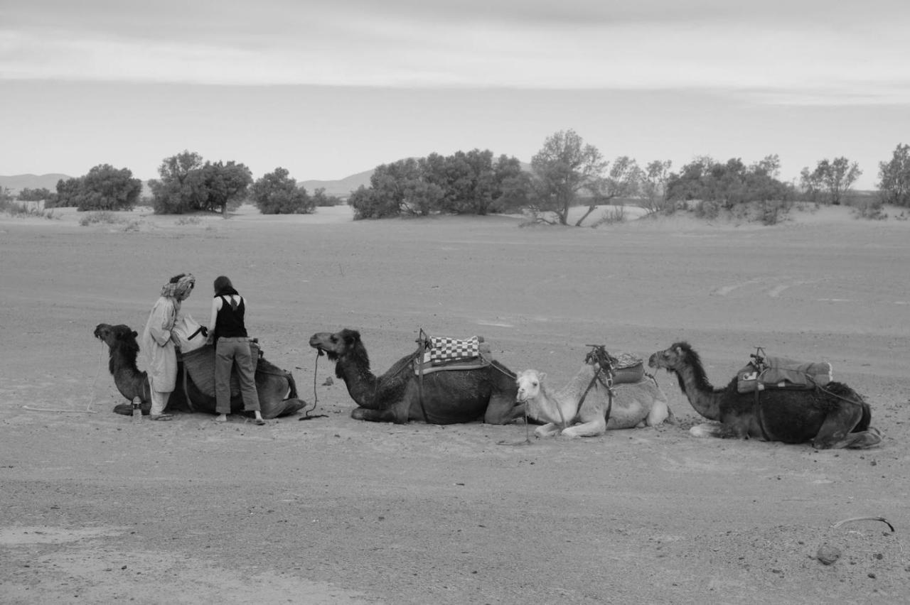 Nomad House Hotell Merzouga Exteriör bild